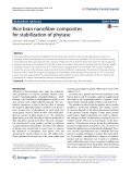 Rice bran nanofber composites for stabilization of phytase