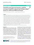 Flexibility and thermal dynamic stability increase of dsDNA induced by Ru(bpy)2dppz2+ based on AFM and HRM technique