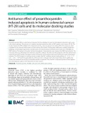 Antitumor effects of proanthocyanidin induced apoptosis in human colorectal cancer (HT-29) cells and its molecular docking studies