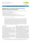 SESAME project: advancements in liquid metal thermal hydraulics experiments and simulations