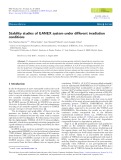 Stability studies of GANEX system under different irradiation conditions