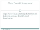 Lecture Global financial management - Topic 2: Foreign exchange rate systems, determinants and the effects of revaluation