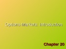 Lecture Investments (6/e) - Chapter 20: Options markets: Introduction