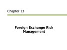 Lecture International finance: An analytical approach (3/e): Chapter 13 - Imad A. Moosa