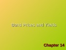 Lecture Investments (6/e) - Chapter 14: Bond prices and yields