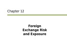 Lecture International finance: An analytical approach (3/e): Chapter 12 - Imad A. Moosa