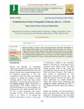 Standardization of macro propagation in banana cultivars - A review