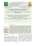 Impact of nitrogen and phosphorus on cormel production in gladiolus grandiflorus L. Cv. white prosperity