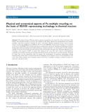 Physical and economical aspects of Pu multiple recycling on the basis of REMIX reprocessing technology in thermal reactors