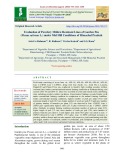 Evaluation of powdery mildew resistant lines of garden pea (Pisum sativum L.) under mid hill Conditions of Himachal Pradesh