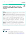 Prospects of Indole derivatives as methyl transfer inhibitors: Antimicrobial resistance managers