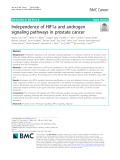 Independence of HIF1a and androgen signaling pathways in prostate cancer