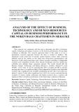 Analysis of the effect of business, technology and human resources capital on business performance in the noken bags craftsmen in Merauke