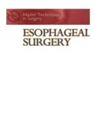 Master techniques in surgery: Esophageal surgery - part 1