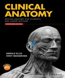 Clinical anatomy: Applied anatomy for students and junior doctors – Part 1