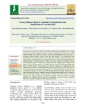 Energy balance study of combined carbonization and liquefaction of coconut shell