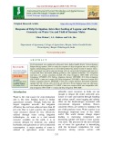 Response of drip fertigation, intra row seeding of legume and planting geometry on water use and yield of summer maize