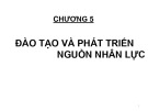 Bài giảng Quản trị nguồn nhân lực: Chương 5 - Cao đẳng Đại Việt Sài Gòn