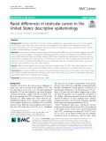 Racial differences in testicular cancer in the United States: Descriptive epidemiology