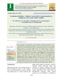 Evaluation of bacillus - calmette- guerin (BCG) immunogenicity in indigenous calves under field condition