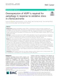 Overexpression of iASPP is required for autophagy in response to oxidative stress in choriocarcinoma