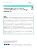 Collagen organization of renal cell carcinoma differs between low and high grade tumors