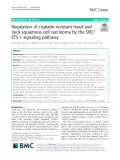 Regulation of cisplatin-resistant head and neck squamous cell carcinoma by the SRC/ ETS-1 signaling pathway