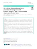 Clinical use of tumor biomarkers in prediction for prognosis and chemotherapeutic effect in esophageal squamous cell carcinoma