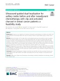 Ultrasound-guided dual-localization for axillary nodes before and after neoadjuvant chemotherapy with clip and activated charcoal in breast cancer patients: A feasibility study