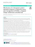 Effectiveness of a therapeutic patient education program in improving cancer pain management: EFFADOL, a steppedwedge randomised controlled trial
