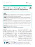 Vitronectin as a molecular player of the tumor microenvironment in neuroblastoma