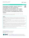 Pathological complete response due to a prolonged time interval between preoperative chemoradiation and surgery in locally advanced rectal cancer: Analysis from the German StuDoQ|Rectalcarcinoma registry