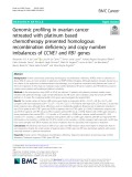 Genomic profiling in ovarian cancer retreated with platinum based chemotherapy presented homologous recombination deficiency and copy number imbalances of CCNE1 and RB1 genes