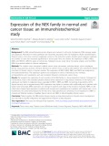 Expression of the NEK family in normal and cancer tissue: An immunohistochemical study