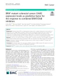 BRAF mutant colorectal cancer: ErbB2 expression levels as predictive factor for the response to combined BRAF/ErbB inhibitors