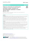 Valproic acid-induced amphiregulin secretion confers resistance to temozolomide treatment in human glioma cells