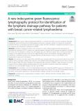 A new indocyanine green fluorescence lymphography protocol for identification of the lymphatic drainage pathway for patients with breast cancer-related lymphoedema