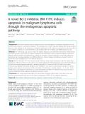 A novel Bcl-2 inhibitor, BM-1197, induces apoptosis in malignant lymphoma cells through the endogenous apoptotic pathway