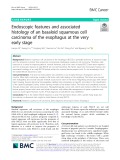 Endoscopic features and associated histology of an basaloid squamous cell carcinoma of the esophagus at the very early stage