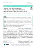 Systemic high-dose intravenous methotrexate in patients with central nervous system metastatic breast cancer