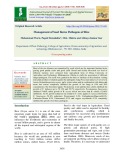 Management of seed borne pathogens of rice