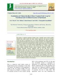 Exploitation of climate resilient minor tropical fruit crops for nutritional and livelihood security in Fiji islands