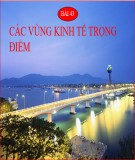 Bài giảng Địa lí lớp 12 - Bài 43: Các vùng kinh tế trọng điểm