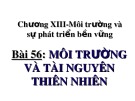 Bài giảng Địa lí lớp 10 – Bài 56: Môi trường và tài nguyên thiên nhiên