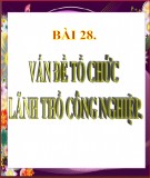 Bài giảng Địa lí lớp 12 - Bài 28: Vấn đề tổ chức lãnh thổ công nghiệp