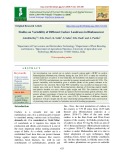 Studies on variability of different cashew landraces in Bhubaneswar