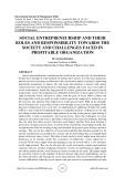 Social entrepreneurship and their roles and responsibility towards the society and challenges faced in profitable organization