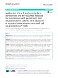 Multicenter phase II study on cisplatin, pemetrexed, and bevacizumab followed by maintenance with pemetrexed and bevacizumab for patients with advanced or recurrent nonsquamous non-small cell lung cancer: MAP study