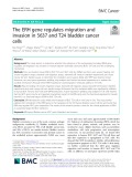 The ERH gene regulates migration and invasion in 5637 and T24 bladder cancer cells