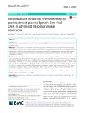 Individualized induction chemotherapy by pre-treatment plasma Epstein-Barr viral DNA in advanced nasopharyngeal carcinoma